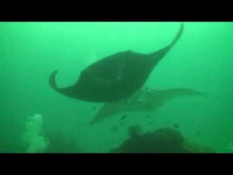 Water Trip
