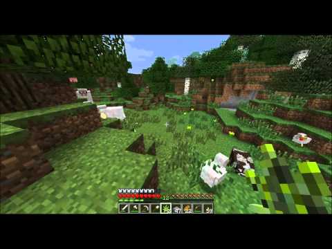 Minecraft Let's Play S4E12 - Reintroduction