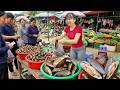 Harvesting Mussels and Snails for Market | Amazing River Catch to Sell