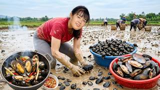 Harvesting Mussels and Snails for Market | Amazing River Catch to Sell