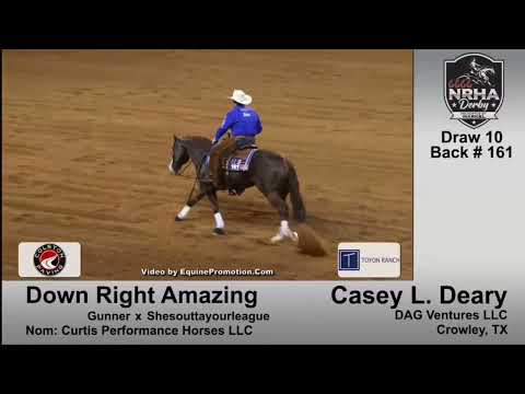 Winner 2023 Derby Casey Deary and Down Right Amazing score 231.5