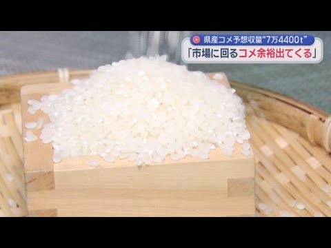 YouTube Video 静岡県内の今年のコメの予想収穫量は去年を6400トン上回る7万4400トン　市場に出回る量にも余裕が出るか