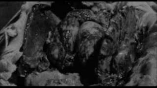 Eisregen   Die Seele der Totgeburt