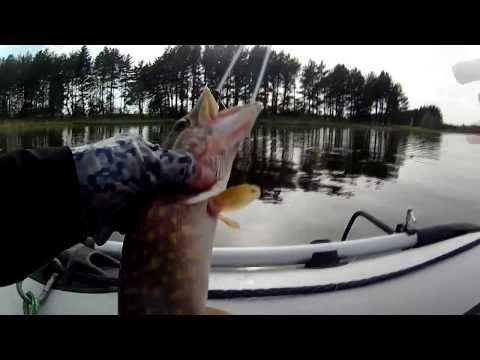 Lydekiuksciai 170514