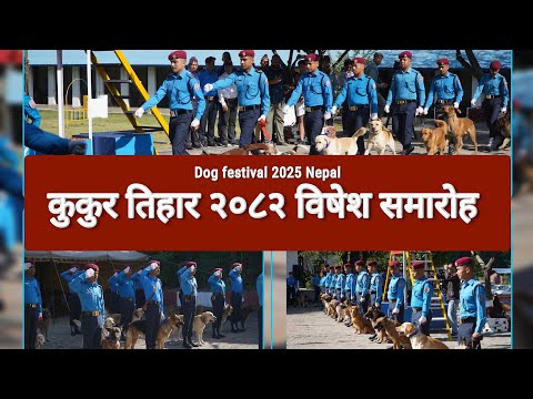 Kukur Tihar 2025 Dog festival in Nepal Police honour dog अपराधी जेल पुर्याउने बहादुर कुकुर घुङ्ग्रु