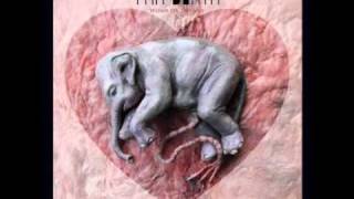 Fan Death - The Constellations