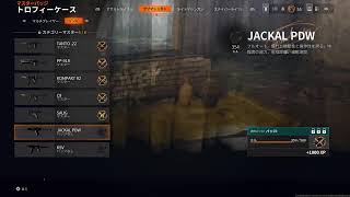 [COD/BO6］ゾンビで武器レベル上げかマルチでデュアル練習！