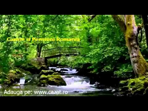 Cazare Stefanesti, Gorj - Cazat.ro