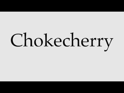 How to Pronounce Chokecherry