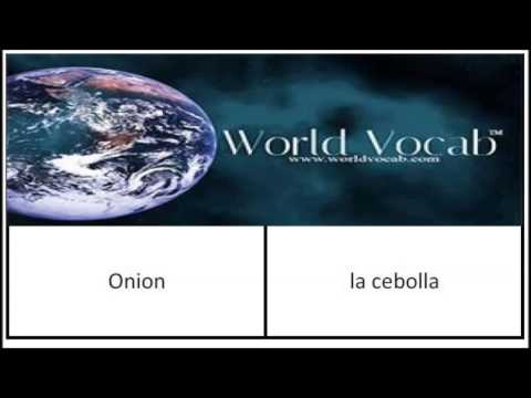 Onion - la cebolla