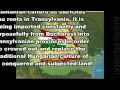 Future of Transylvania is to return to Central Europe ...