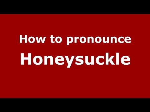 How to pronounce Honeysuckle
