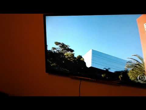 TELEVISOR SONY com um inseto morto dentro da tela