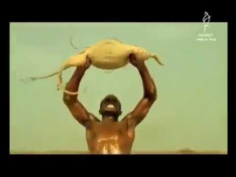 AFRİKA REKLAM LEMON