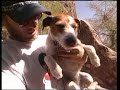 Pes horolezec (Seth) - Známka: 1, váha: obrovská