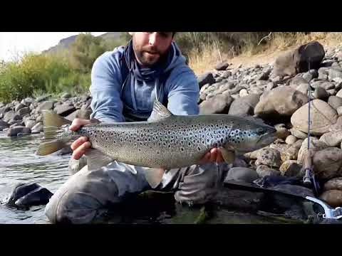 Fly Fishing Guide - Bariloche - Argentina 