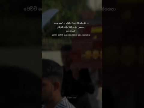 C H A T H U   M U S I C  🦋' #short #love #music #vadan #status #song #feeling #viralvideos