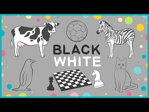 BLACK and WHITE colors - color names - coloring pages for kids - LiLi