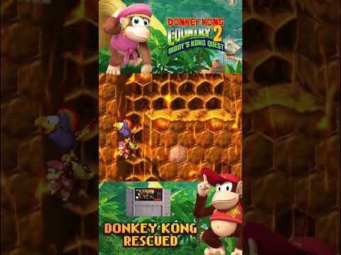 Donkey Kong Rescued - Donkey Kong Country 2  OST  [ Relaxing Study Retro VGM ]