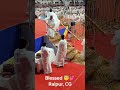Shivani Didi In Raipur Shivbaba Murli Blessed Shivanididi Bkshivani Omshanti Raipur