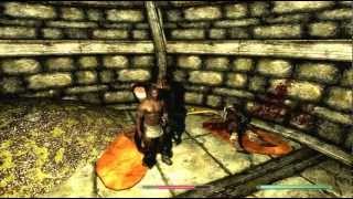 Path of Shadows Mod Bug for Skyrim
