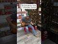 Bright Leaf Country Store: Chandler James singing “O Christmas Tree” 🎄