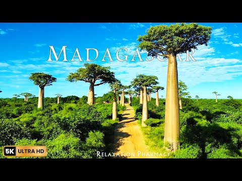 Madagascar 5K - Scenic Relaxation Film With Calming Music - 5K Relaxation Video