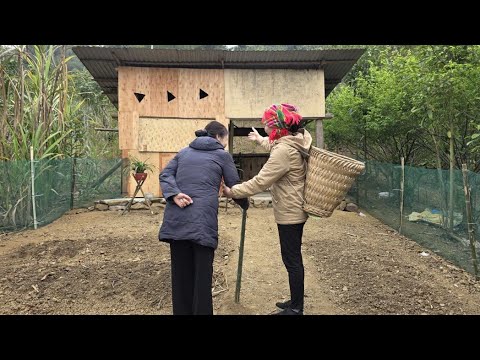 Single Mother Helps an Elderly Woman Start a Better New Life