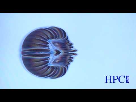 TYAN FT77-B7079 introduction