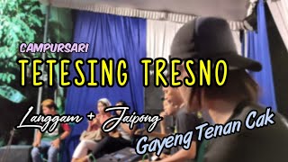 Download lagu THE CELENG // Tetesing Tresno Langgam Koplo di garap Gayeng Cak yayan jandut mp3
