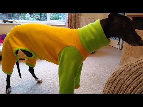 DIY Full Greyhound Pyjamas // Polar Fleece, Dual Colour