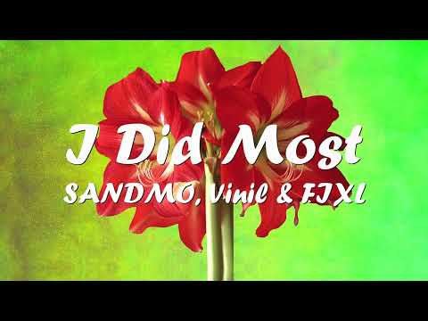 SANDMO, Vinil & FIXL - I Did Most (Lyrics) 💗♫