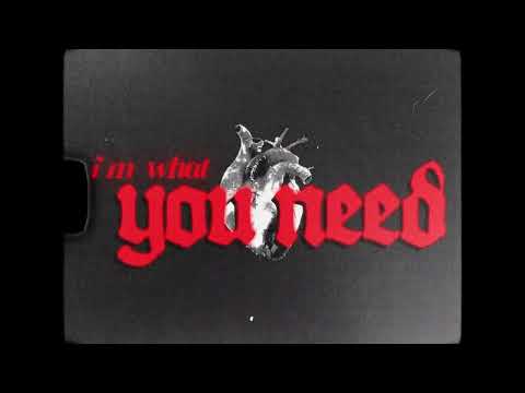 Ashley Sienna - What You Need (Official Sped Up Lyric Video)