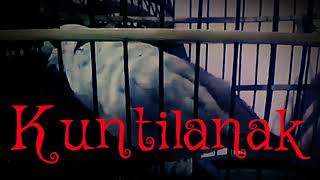 Download lagu #puterpelung Suara puter pelung  kuntilanak mp3 Download lagu #puterpelung Suara puter pelung  kuntilanak mp3