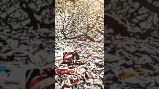 Download lagu Ft.Jarvis-minang deng laka kinang siuang status 🤘 Ft.powerboy status #attitude #shorts #status mp3 Download lagu Ft.Jarvis-minang deng laka kinang siuang status 🤘 Ft.powerboy status #attitude #shorts #status mp3