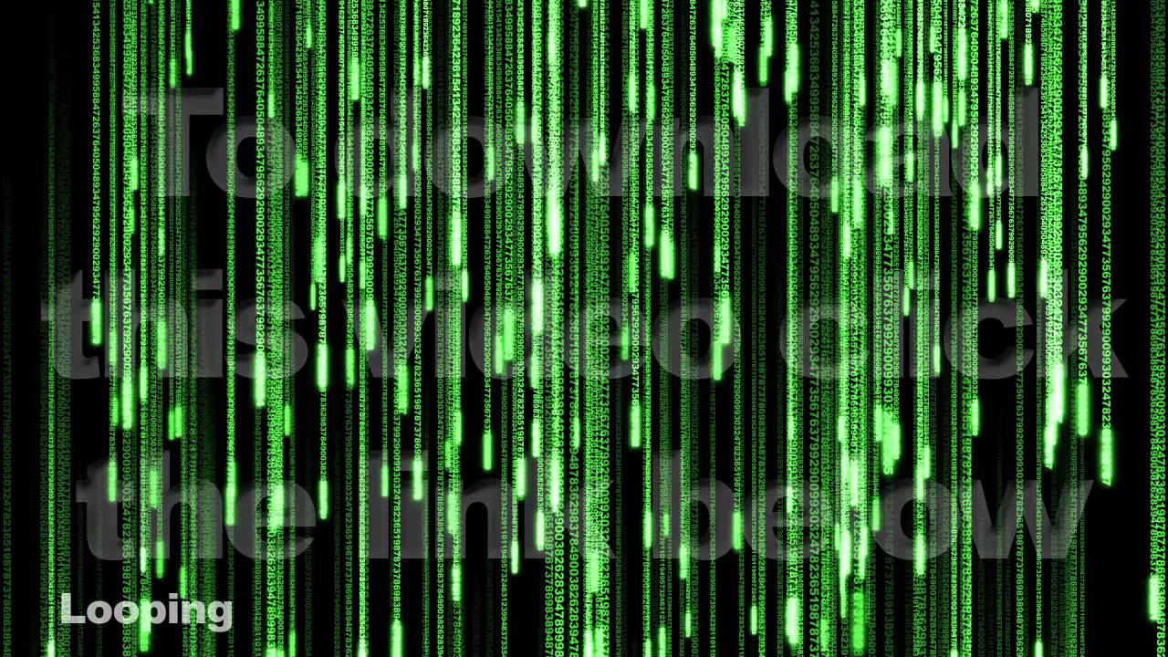 The Matrix Backdrop -- Digital Data Streaming Loop