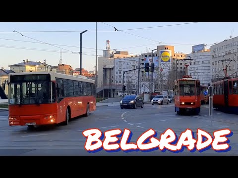 GSP Beograd Ikarbus IK-103 #495, Linija 83