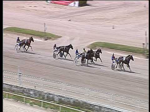 Trotto 15/06/2019 - 2ª prova di qualifica