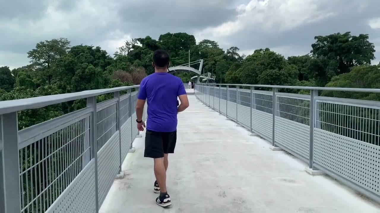 Embark on an immersive virtual journey of the breathtaking Fort Siloso Skywalk.