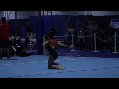 Dayenu Munoz 1st Floor Olympic Dreams Invite 2017 Wildfire Gymnast Level 5