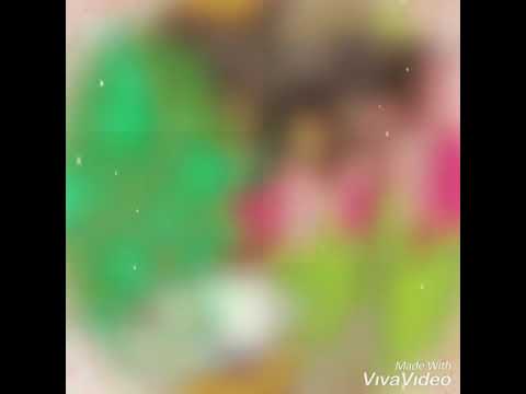 Happy birthday to you