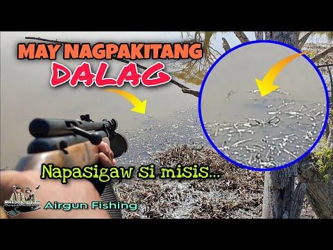 MALAKING DALAG NAGPAKITA AGAD SA TUYONG WATERLILY/AIRGUN FISHING/MHEDDS JOE TV/VLOG#316