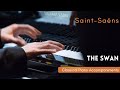 Saint-Saëns: The Swan (Piano accompaniment)