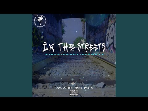 In the Streets (feat. Vibes & Exact)