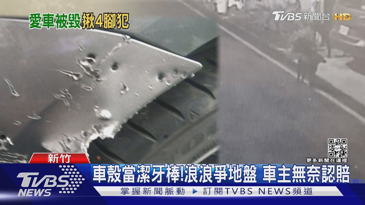 不是人為!民眾愛車遭毀 竟是7隻黑狗啃咬