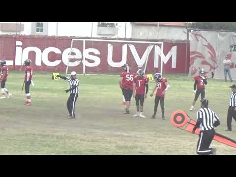 Linces Toluca vs Team Cuernavaca