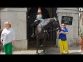 Tourist get  a nudge #horseguardsparade