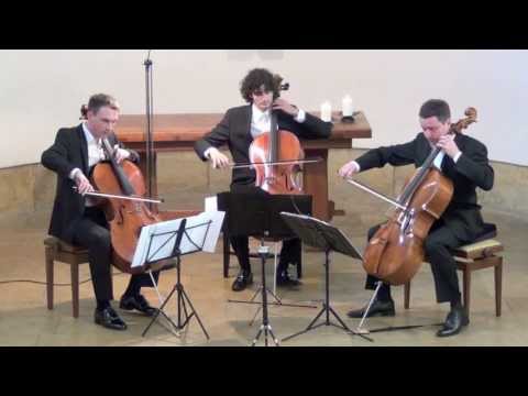 Bach Gamba Sonata No. 1 G Major on 3 Celli live in concert
