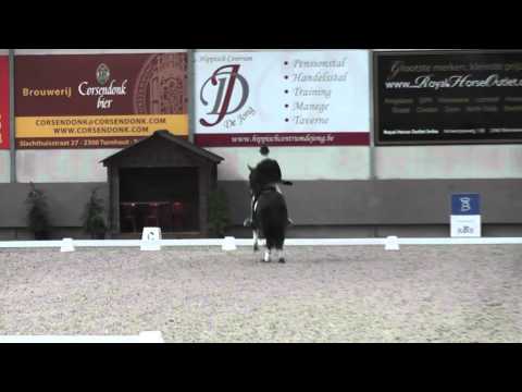 I.P.S BON BRAVOUR OKT 2013 MASSENHOVEN