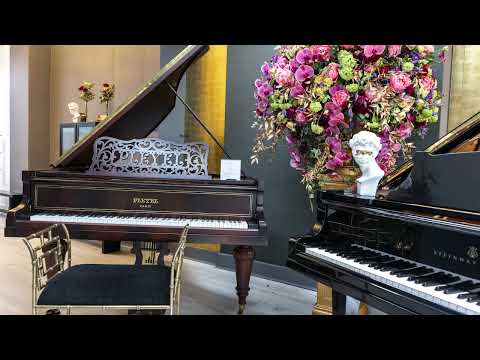 Pleyel Modèle D grand piano fully rebuilt